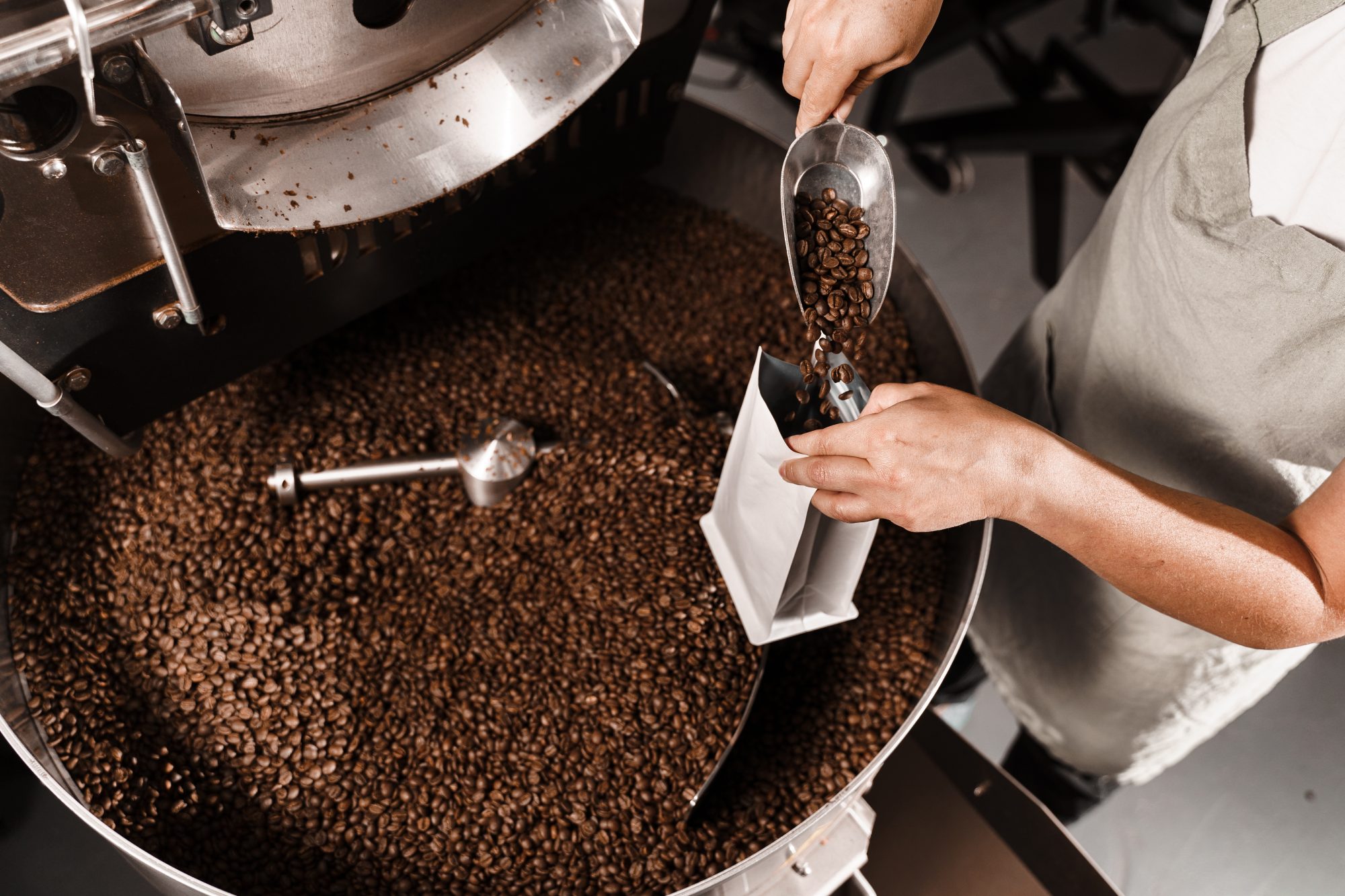 Worker pouring roasted coffee beans in packaging bag. Filling coffee grains in a craft bag. Packing fried coffee beans.